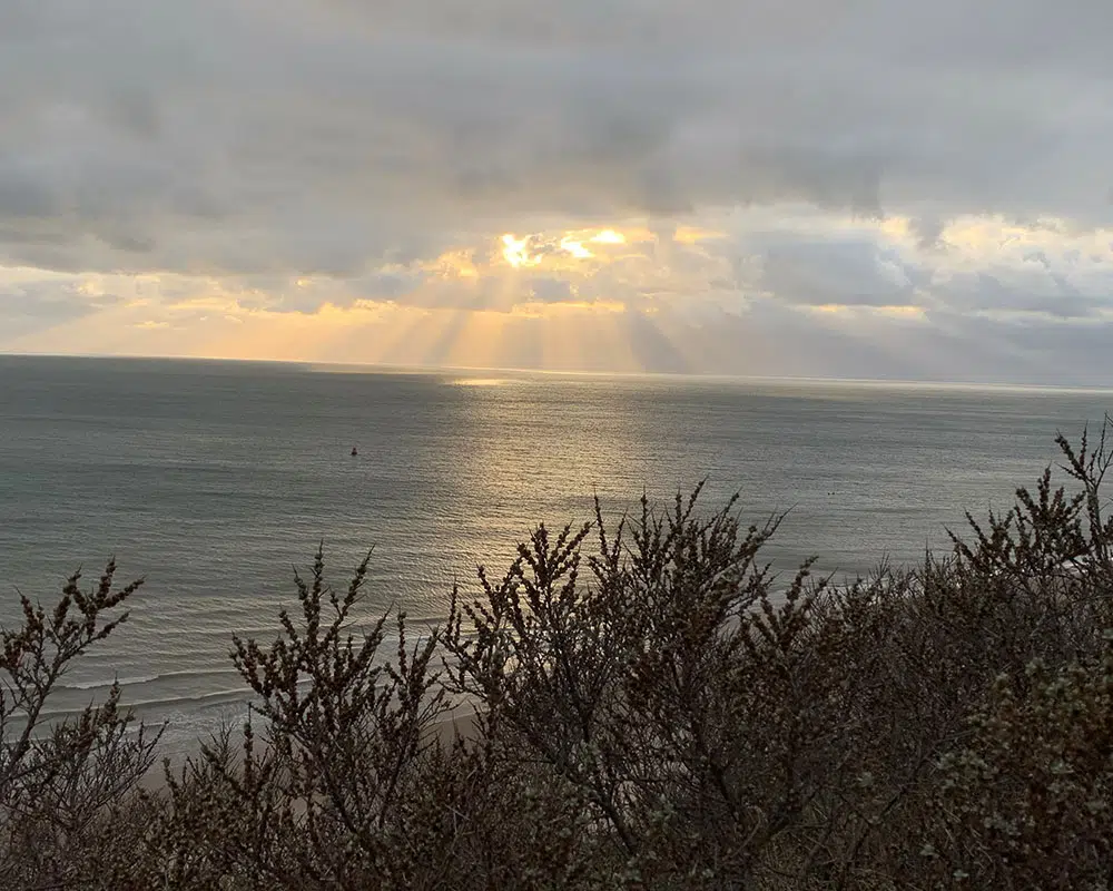 heidi jansen coaching voor vrouwen